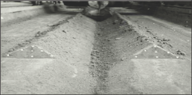 Click here to view Large Figure 3 Lupinepublishers-openaccess-Agriculture