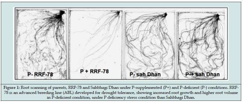 Click here to view Large Figure 1 Lupinepublishers-openaccess-journals-psychology-behavioral-science