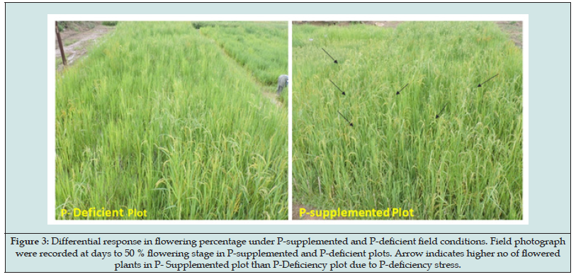 Click here to view Large Figure 3 Lupinepublishers-openaccess-journals-psychology-behavioral-science
