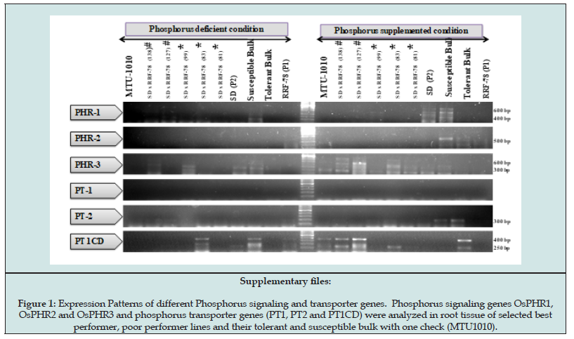 Click here to view Large Figure 4 Lupinepublishers-openaccess-journals-psychology-behavioral-science