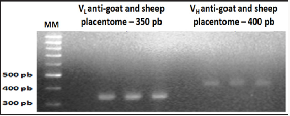 Click here to view Large Scheme 1 Lupinepublishers-openaccess-Dairy-Veterinaryscience