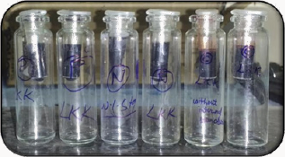 Click here to view Large Figure 1 Lupinepublishers-openaccess-Forensic-Genetics