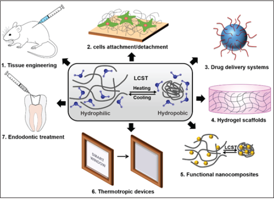 Click here to view Large Scheme 1 Lupinepublishers-openaccessjournals-Nanotechnology-nanomedicine