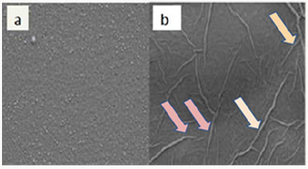 Click here to view Large Scheme 1 Lupinepublishers-openaccessjournals-Nanotechnology-nanomedicine