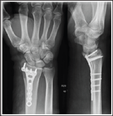 Click here to view Large Figure 5