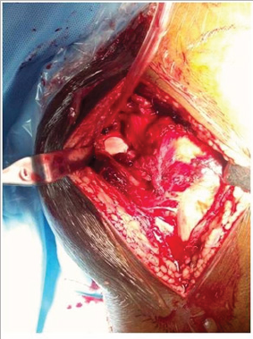 Click here to view Large Figure 3a