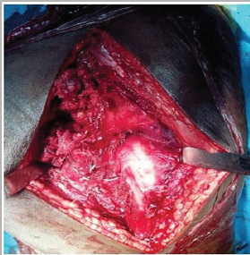 Click here to view Large Figure 3b