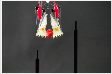 Click here to view Large Figure 3 Lupinepublishers-openaccess-robotics-mechanical-engineering-journal