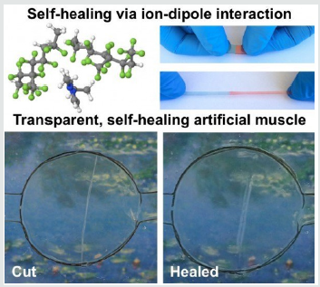 Click here to view Large Figure 4 Lupinepublishers-openaccess-robotics-mechanical-engineering-journal