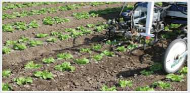 Click here to view Large Figure 2 Lupinepublishers-openaccess-robotics-mechanical-engineering-journal