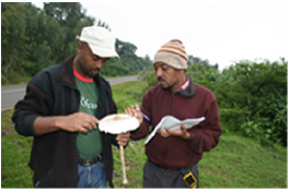 Click here to view Large Figure 4 Lupinepublishers-openaccess-Agriculture