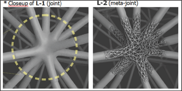 Click here to view Large Figure 1 Lupinepublishers-openaccess-biomedicalengineering-biosciences