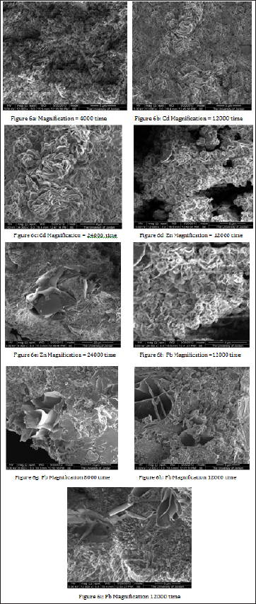 Click here to view Large Figure 6 Lupinepublishers-openaccessjournals-chemical-science