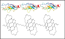 Click here to view Large Figure 10b Lupinepublishers-openaccessjournals-chemical-science