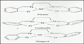 Click here to view Large Figure 6b Lupinepublishers-openaccessjournals-chemical-science