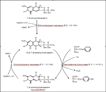 Click here to view Large Figure 1 Lupinepublishers-openaccessjournals-chemical-science