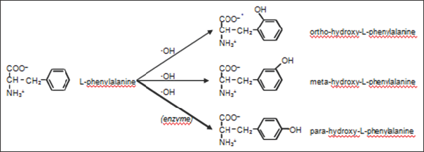 Click here to view Large Figure 2 Lupinepublishers-openaccessjournals-chemical-science