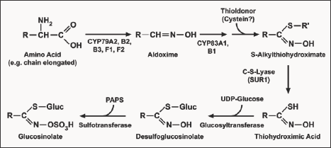 Click here to view Large Figure 1 Lupinepublishers-openaccessjournals-chemical-science