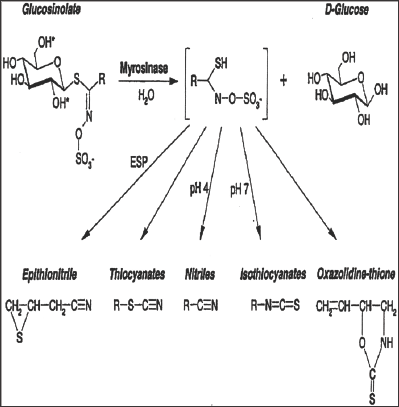 Click here to view Large Figure 2 Lupinepublishers-openaccessjournals-chemical-science