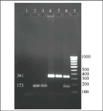 Click here to view Large Figure 1 Lupinepublishers-openaccess-Dairy-Veterinaryscience