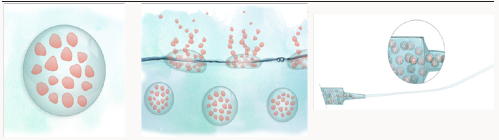 Click here to view Large Scheme 1 Lupinepublishers-openaccess-Drugdesigning-Intellectualproperties