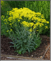 Click here to view Large Figure 5 Lupinepublishers-openaccess-journals-Textile-Fashiondesigning