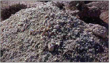 Click here to view Large Figure 9 Lupinepublishers-openaccess-journals-Textile-Fashiondesigning