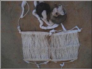 Click here to view Large Figure 10 Lupinepublishers-openaccess-journals-Textile-Fashiondesigning