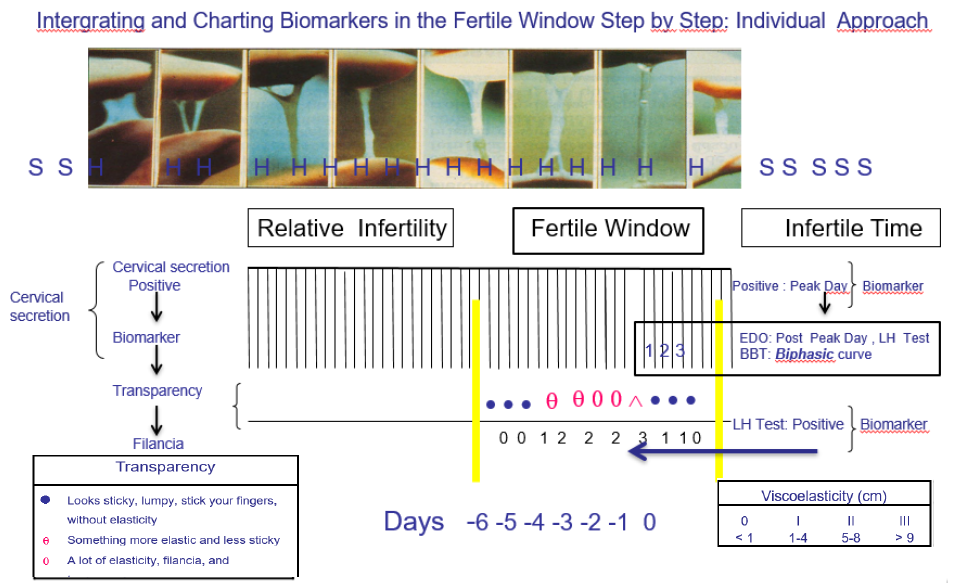 Click here to view Large Figure 1 lupinepublishers-openaccess-journal-gynaecology-women-health-care
