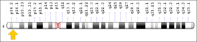 Click here to view Large Figure 1