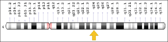 Click here to view Large Figure 1