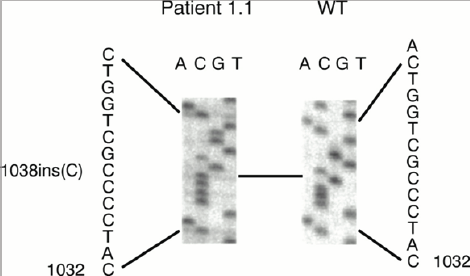 Click here to view Large Figure 1