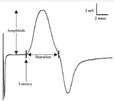 Click here to view Large Figure 1 Lupinepublishers-openaccess-journals-psychology-behavioral-science