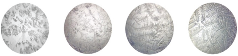 Click here to view Large Figure 1 Lupinepublishers-openaccess-Research-Reviews