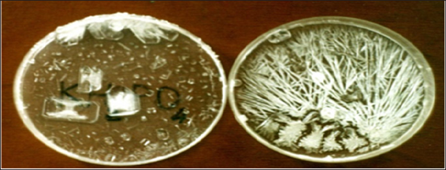 Click here to view Large Figure 1 Lupinepublishers-openaccess-Research-Reviews