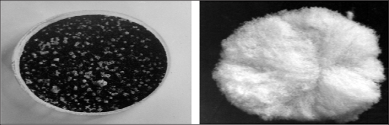 Click here to view Large Figure 1 Lupinepublishers-openaccess-Research-Reviews