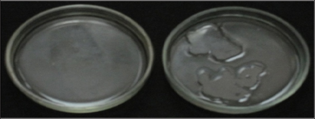 Click here to view Large Figure 1 Lupinepublishers-openaccess-Research-Reviews